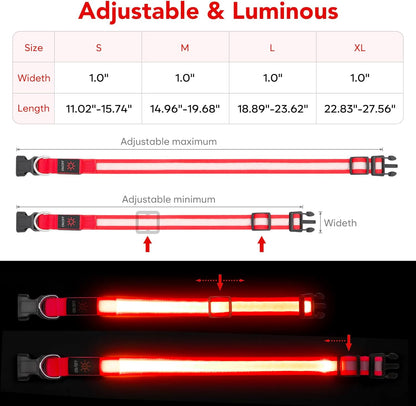 LED Dog Collar, Light up Dog Collar Adjustable USB Rechargeable Super Bright Safety Light Glowing Collars for Dogs